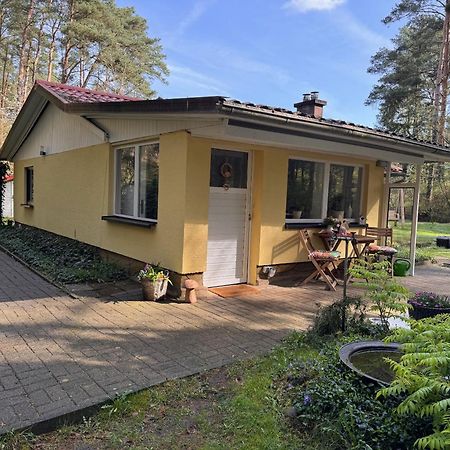 Ferienhaus Im Wald Borkwalde Zewnętrze zdjęcie