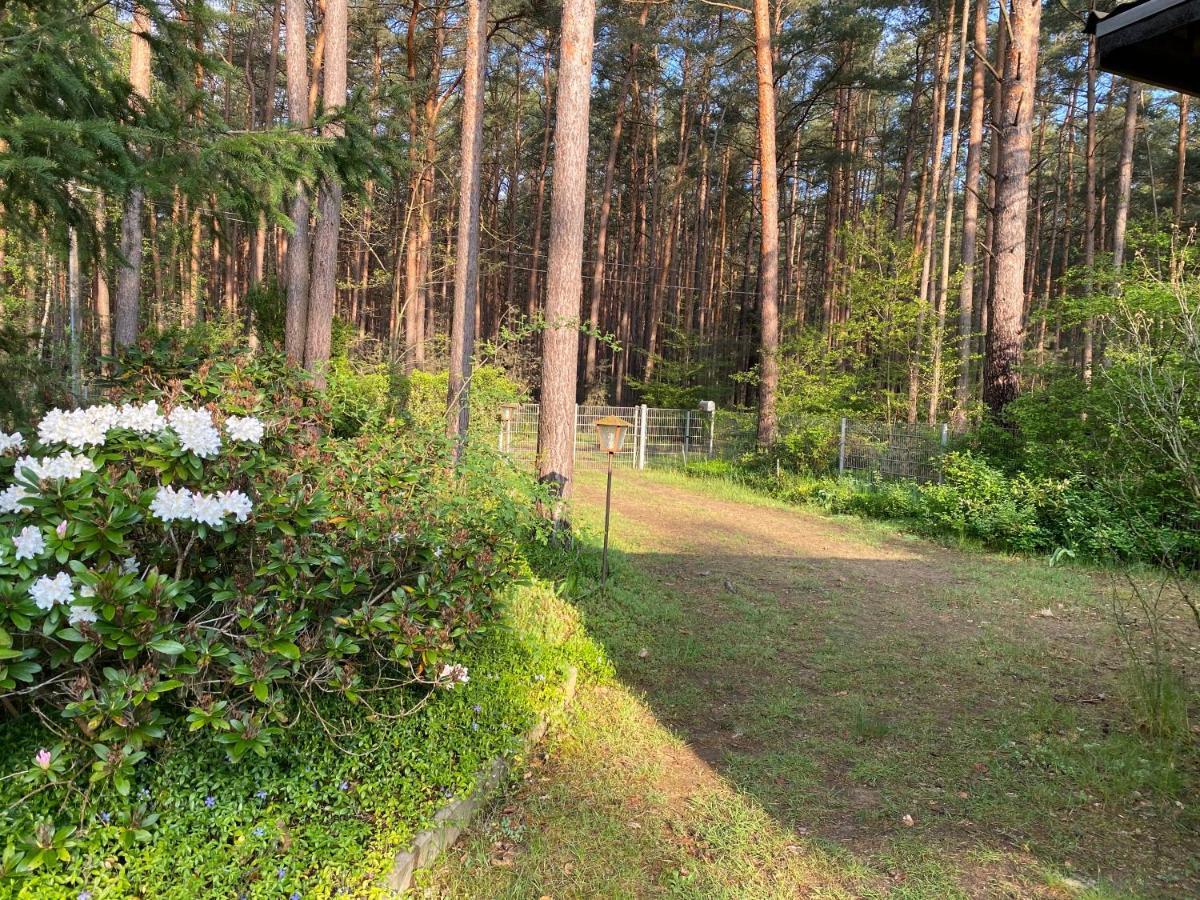 Ferienhaus Im Wald Borkwalde Zewnętrze zdjęcie