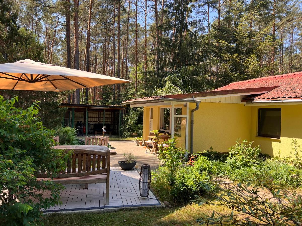 Ferienhaus Im Wald Borkwalde Zewnętrze zdjęcie