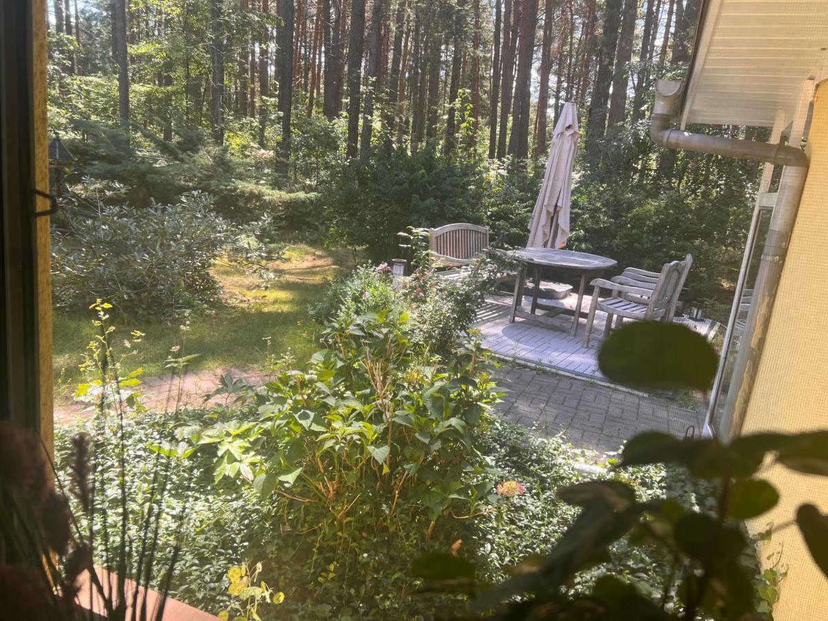 Ferienhaus Im Wald Borkwalde Zewnętrze zdjęcie