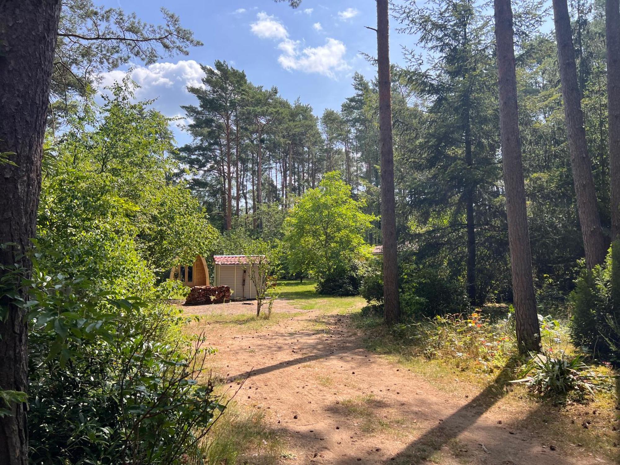 Ferienhaus Im Wald Borkwalde Zewnętrze zdjęcie
