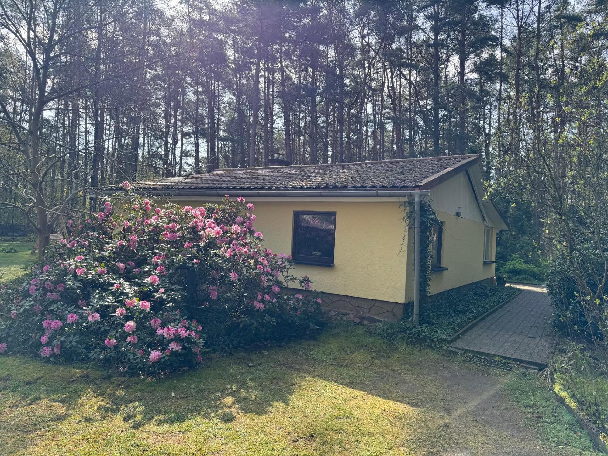 Ferienhaus Im Wald Borkwalde Zewnętrze zdjęcie